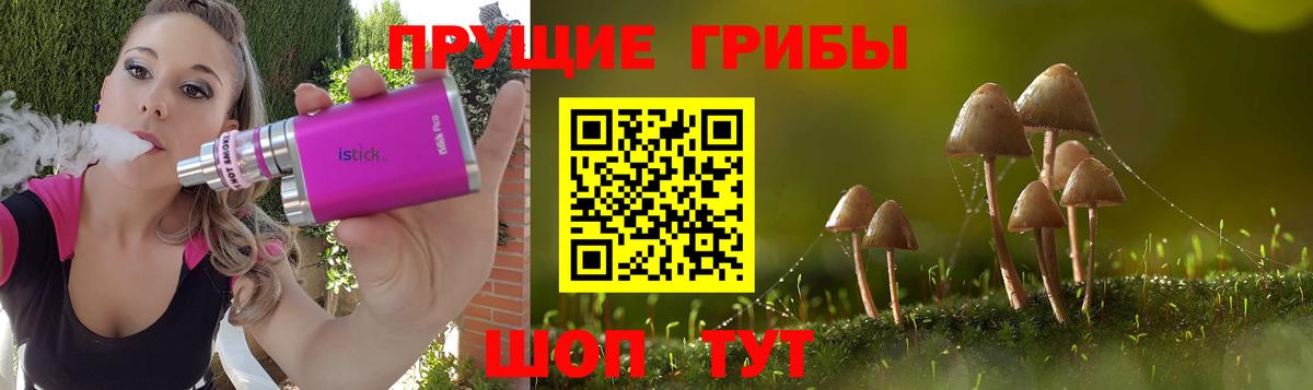 Печора  Псилоцибиновые грибы мицелий  Вход с VPN 